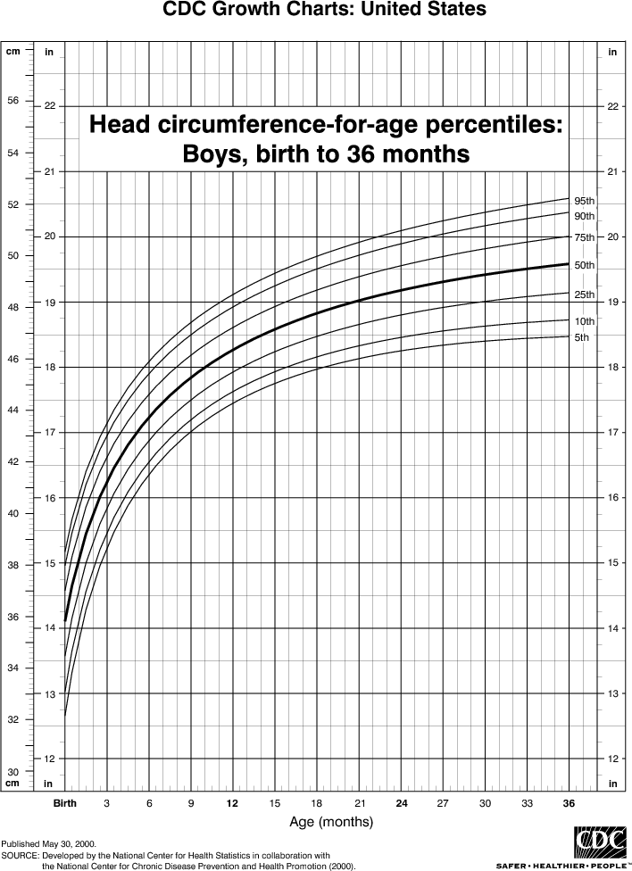 Infant Head Circumference Percentile Chart